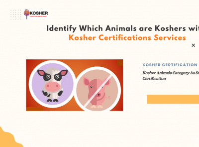 Best Kosher Certification In India | Kosher Certification Agency – 2024