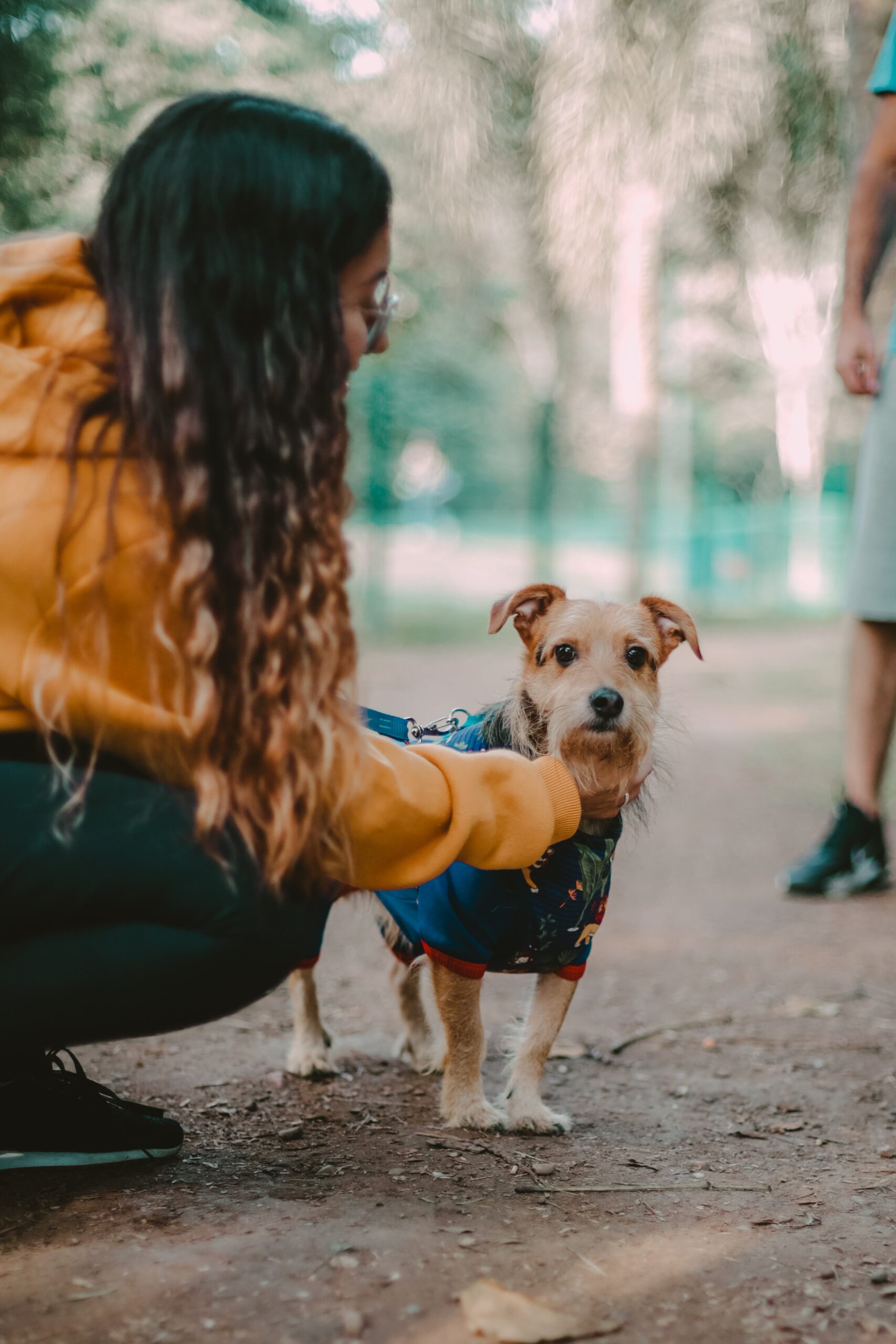 Reliable Pet Sitters: Nurturing Your Pet’s Well-Being with Peace of Mind through Pets24